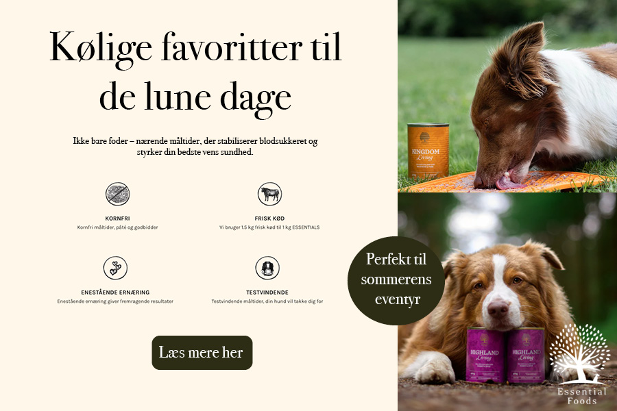 Sommerbanner for Essential Foods